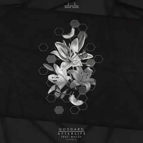 Afterlife (feat. Bailey) by goddard., artwork