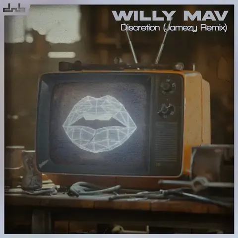 Discretion (Jamezy Remix) by Willy Mav, artwork