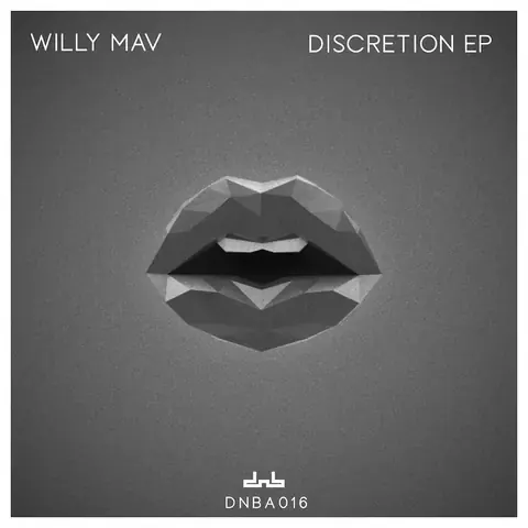 Discretion by Willy Mav & EJ Kitto, artwork