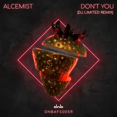Don't You (DJ Limited Remix) by Alcemist, artwork