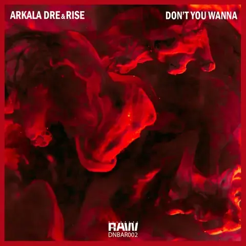 Don't You Wanna by Arkala Dre & RISE, artwork
