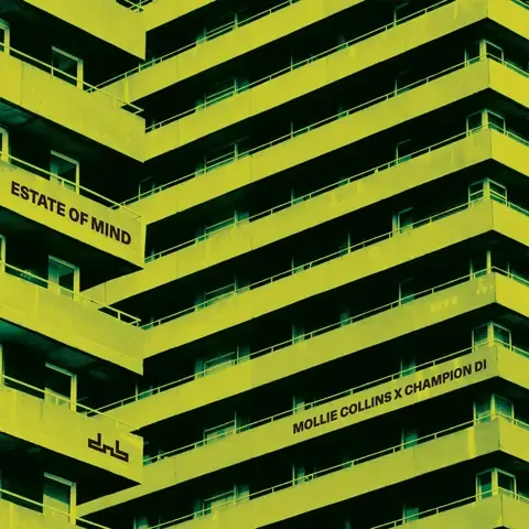 Estate Of Mind by Mollie Collins & Champion DI, artwork