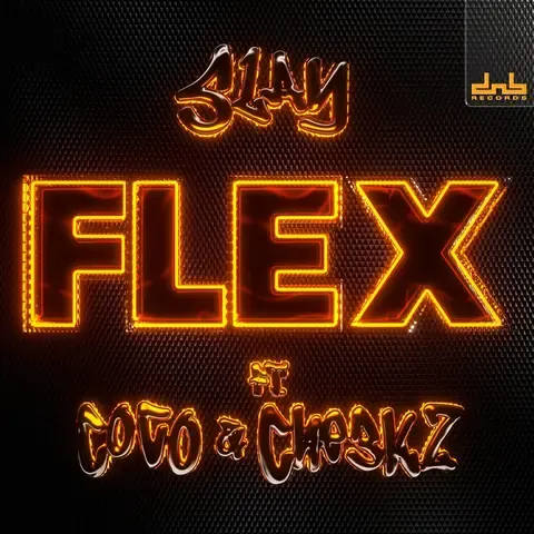 Flex (feat. Coco & Che3kz) by Slay, artwork