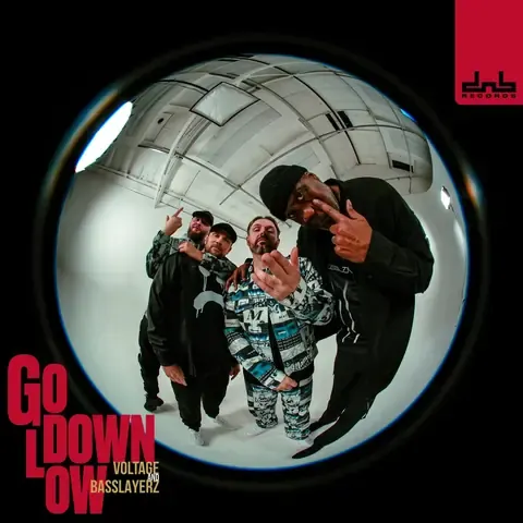 Go Down Low by Voltage & Basslayerz, artwork
