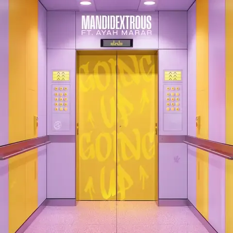 Going Up (feat. Ayah Marar) by Mandidextrous, artwork