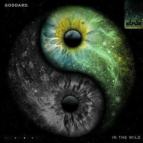 In The Wild by goddard., artwork