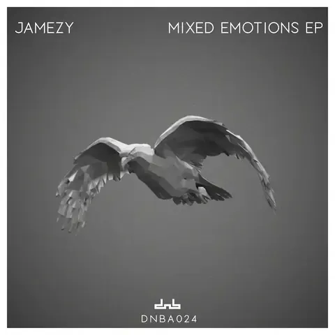 Mixed Emotions by Jamezy & Jammez, artwork