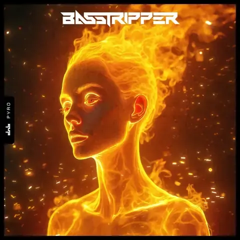 Pyro by Basstripper, artwork