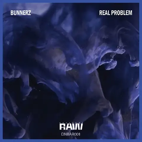 Real Problem by Bunnerz, artwork