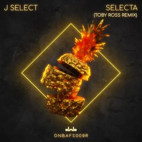 Selecta (Toby Ross Remix) by J Select, artwork