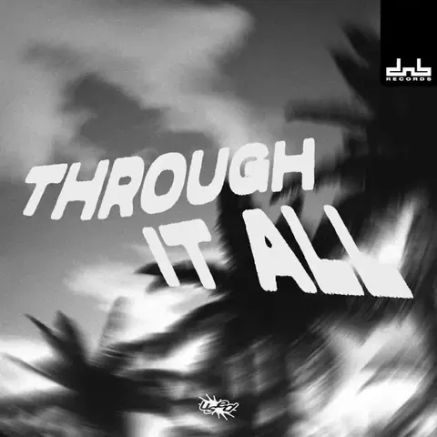 Through It All by Used, artwork