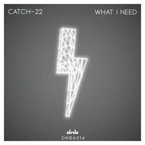 What I Need by Catch-22 NZ, artwork